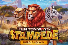 Ten Ton Ways Stampede